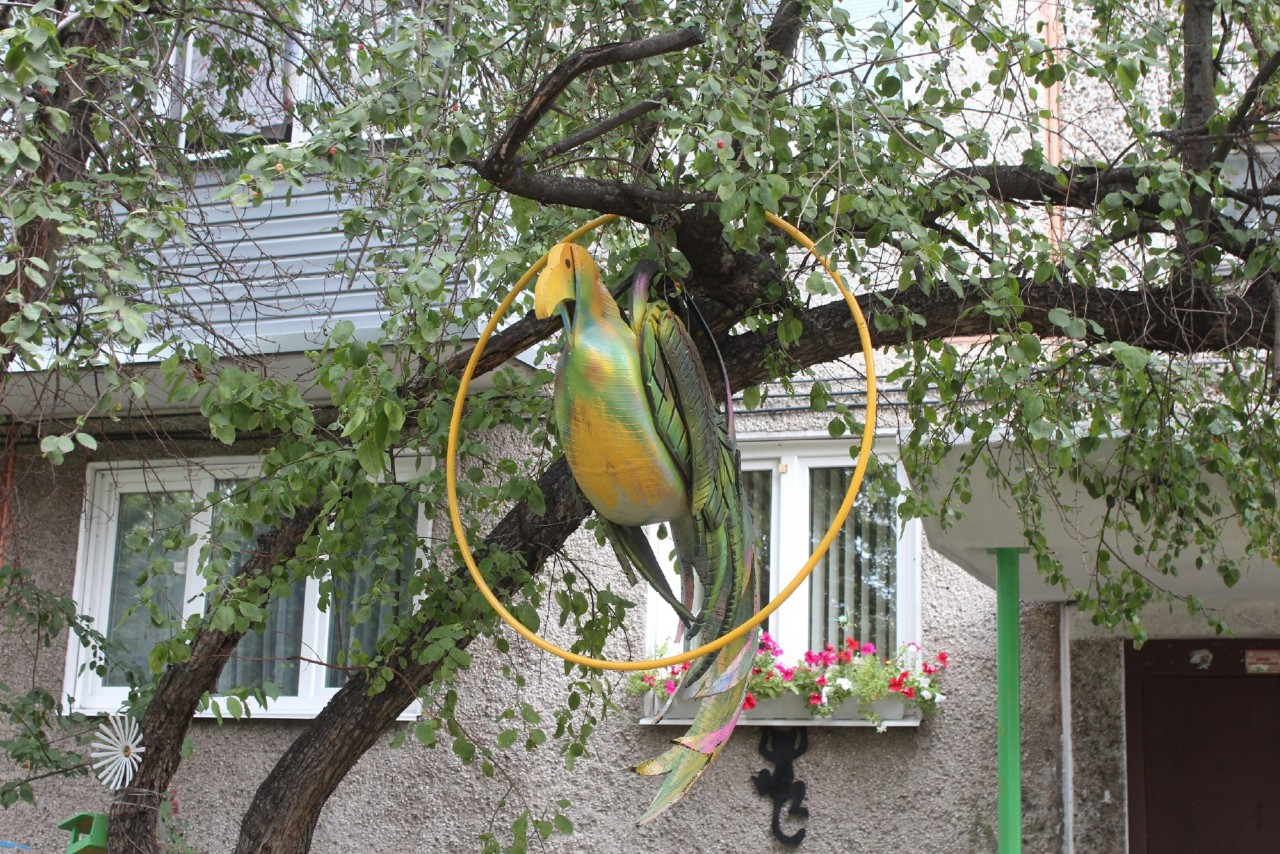 Двор в Красноярске.