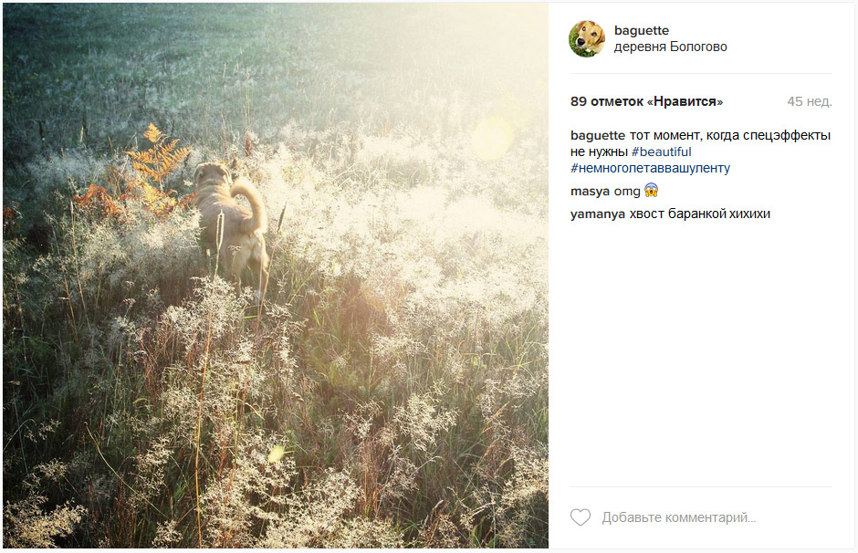 Багет