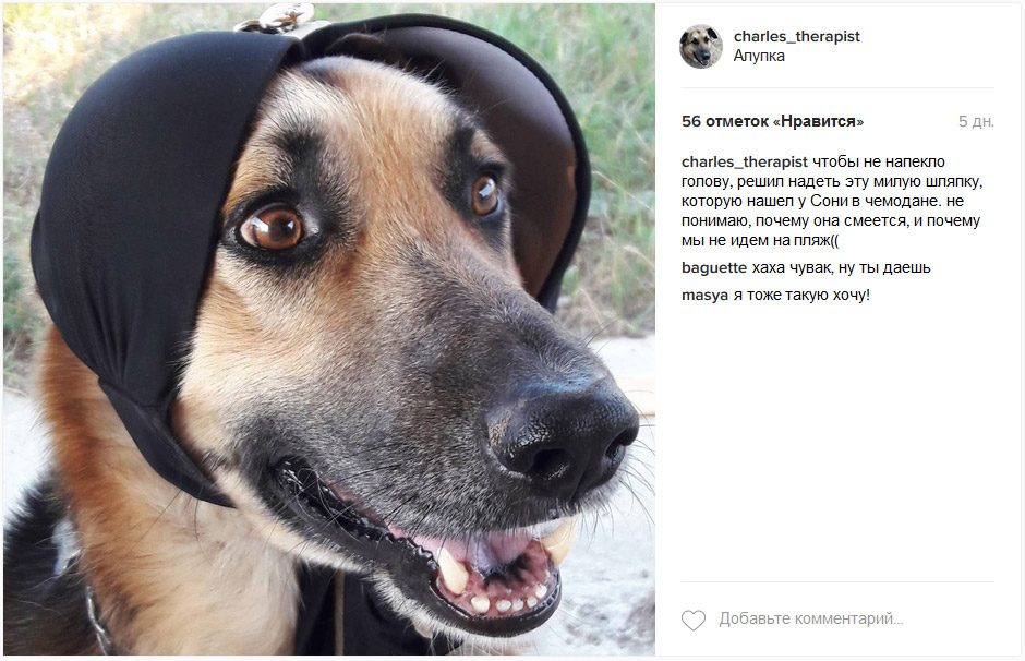 Шарль