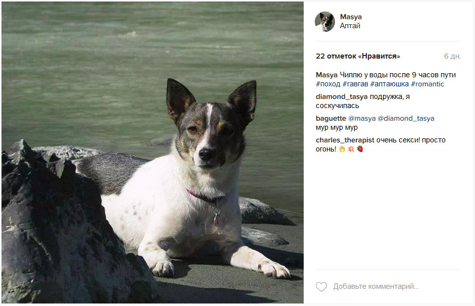 Мася