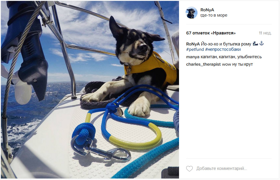 Роня