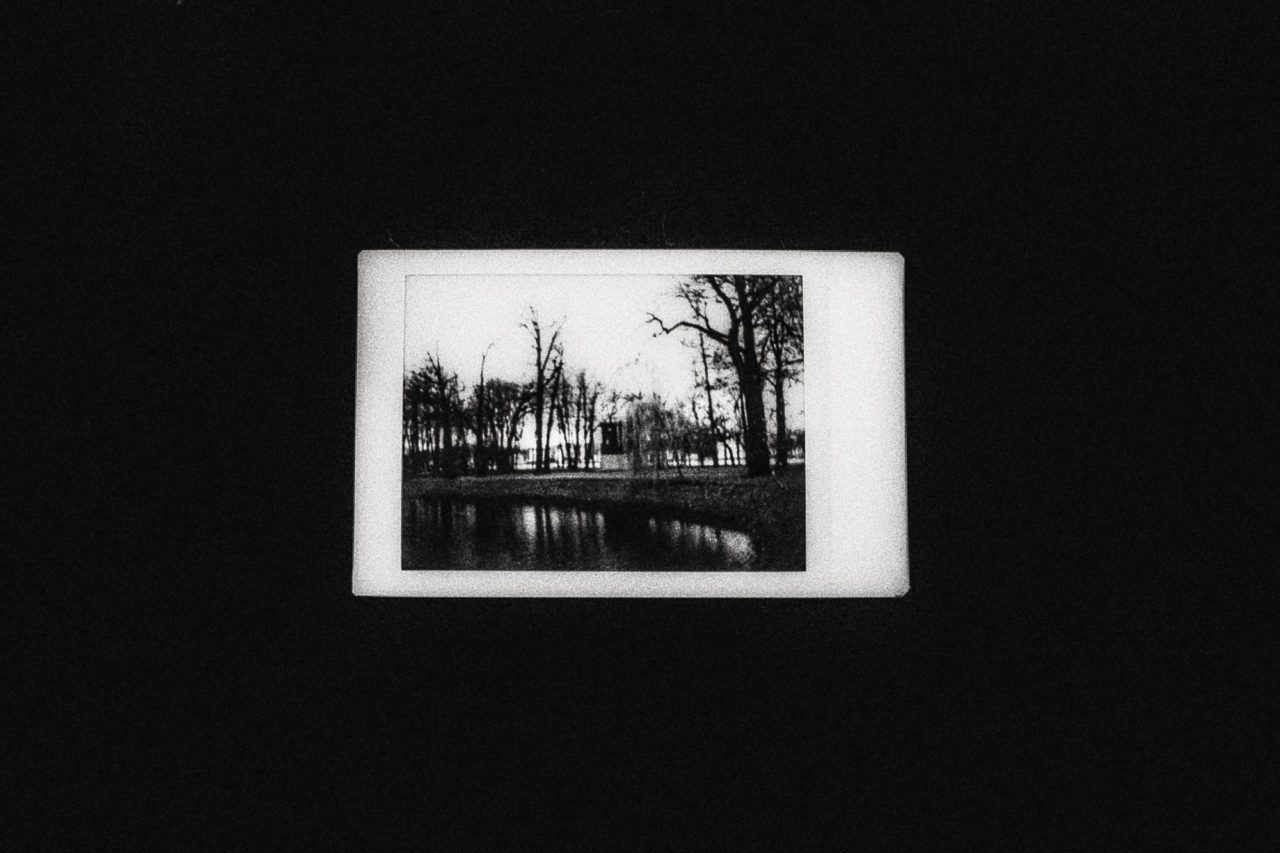 Фотографии, сделанные Евгенией во время прогулки по Петербургу. Снимать героине было трудно: «Здесь слишком мало деревьев»